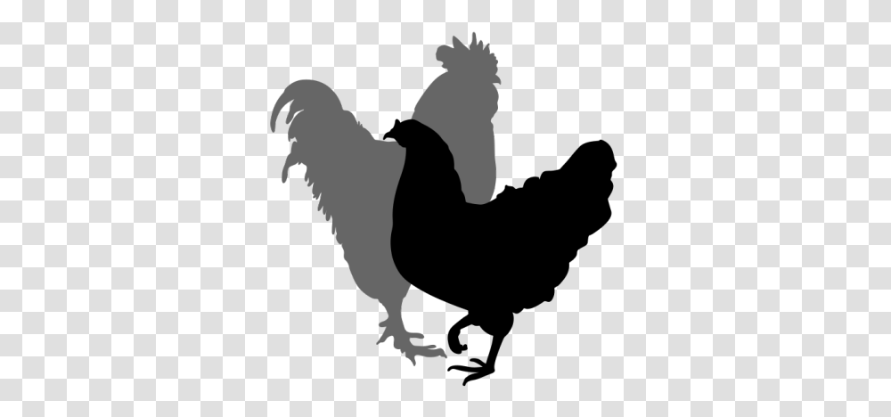 Chicken Silhouette, Animal, Bird, Flying, Stencil Transparent Png