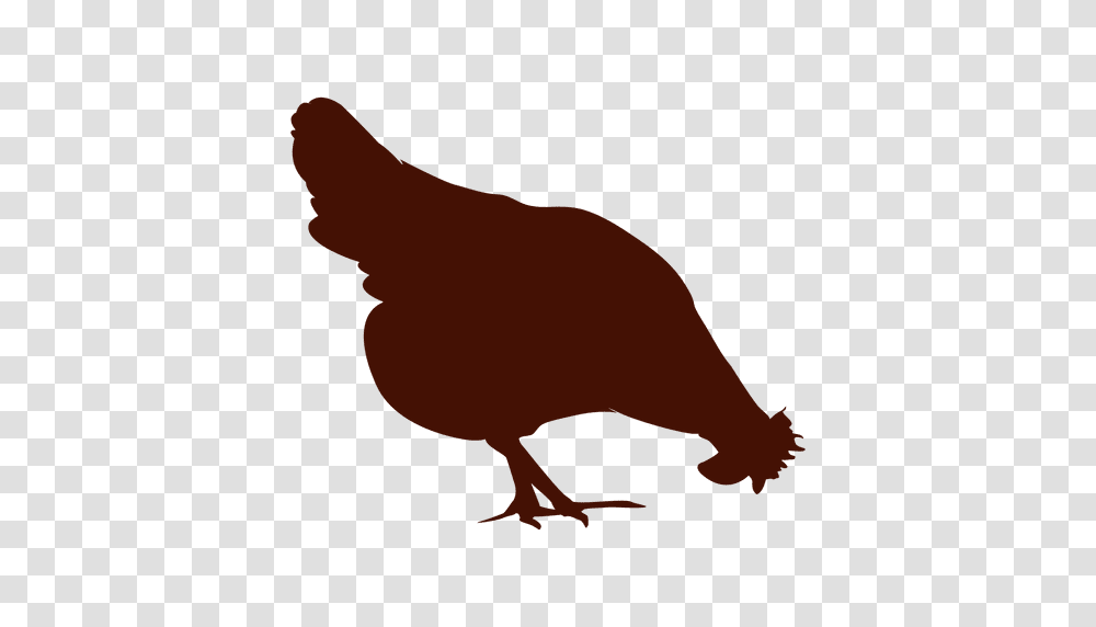 Chicken Silhouette, Bird, Animal, Fowl, Poultry Transparent Png