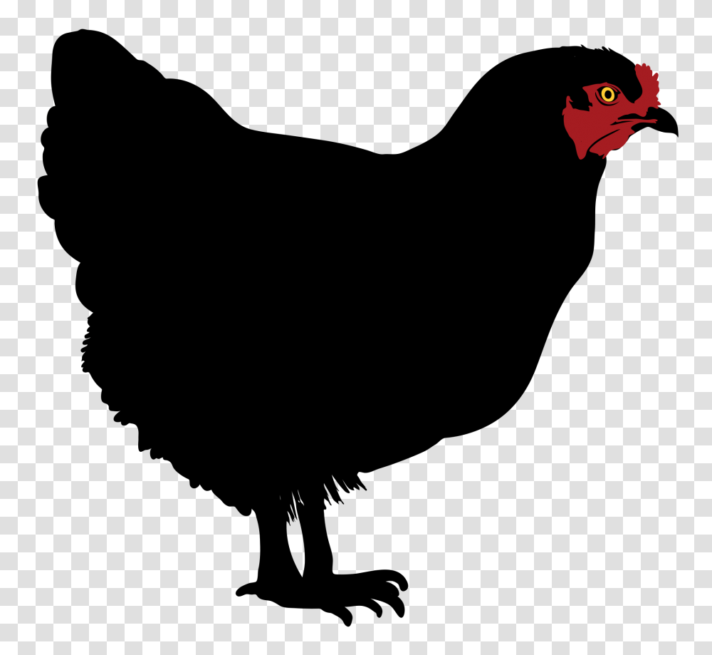 Chicken Silhouette, Bird, Animal, Hand Transparent Png