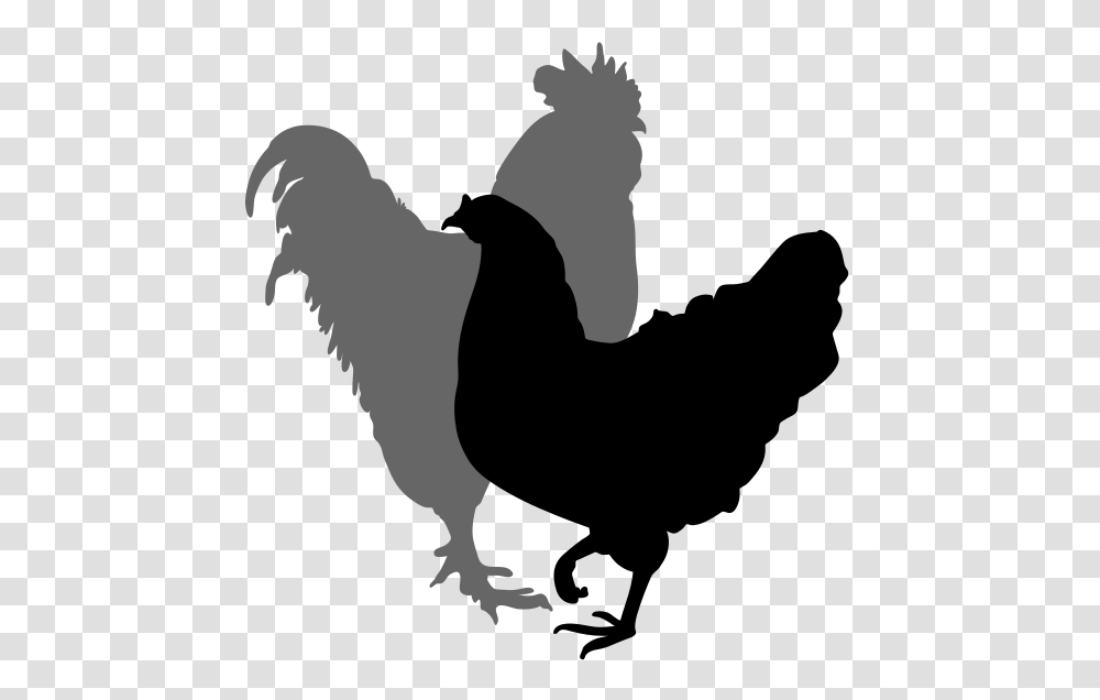 Chicken Silhouette Clip Art, Animal, Gecko, Lizard, Reptile Transparent Png