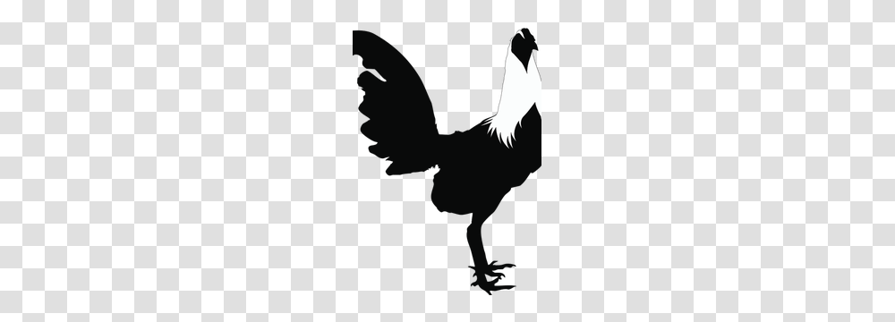 Chicken Silhouette Clip Art Free, Bird, Animal, Person, Flying Transparent Png