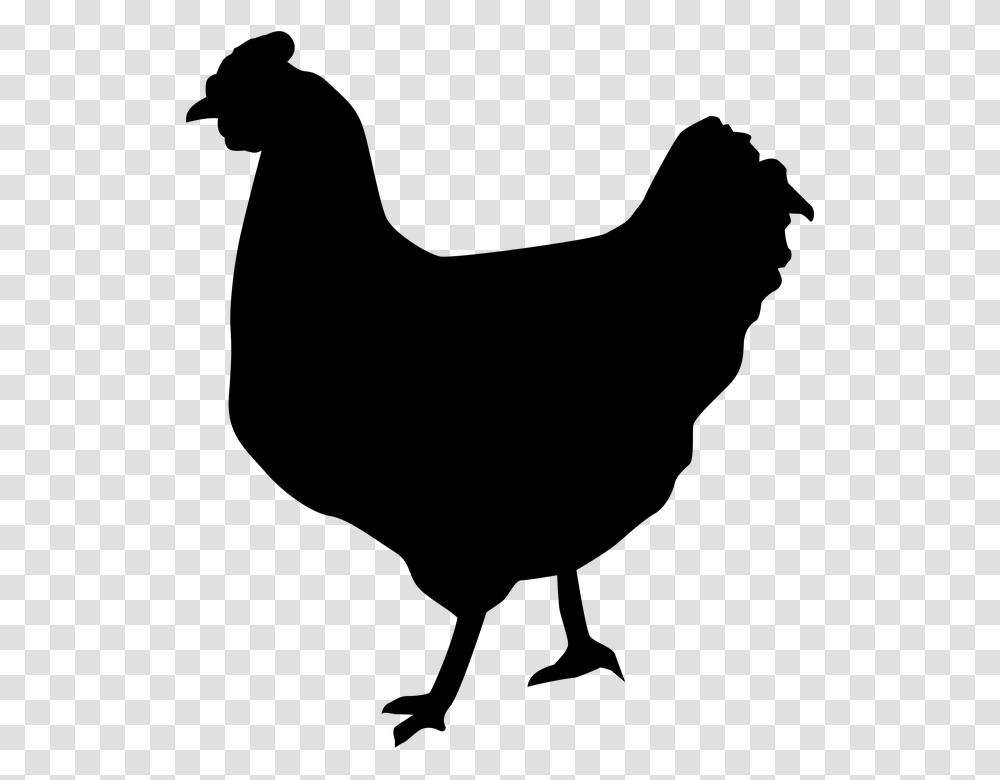 Chicken Silhouette Michael Fields Agricultural Institute, Gray, World Of Warcraft Transparent Png