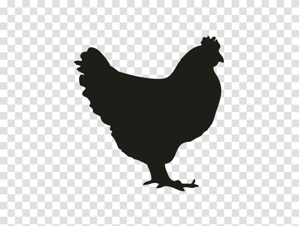 Chicken Silhouette, Poultry, Fowl, Bird, Animal Transparent Png