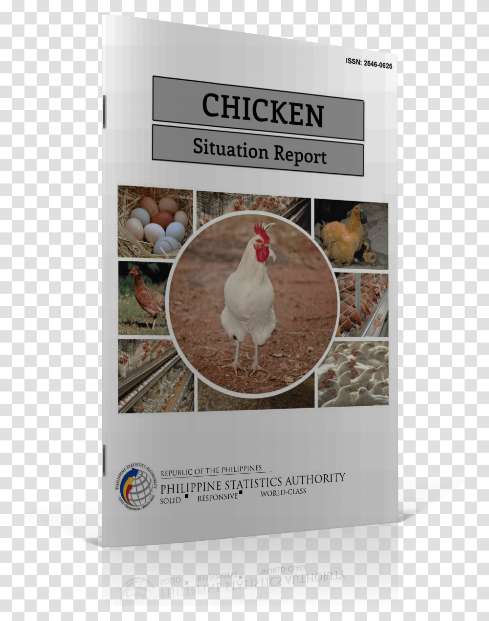 Chicken Situation Report Narrative Report For Chicken Transparent Png
