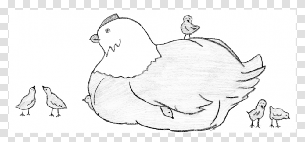 Chicken Sketch, Bird, Animal, Dog, Pet Transparent Png