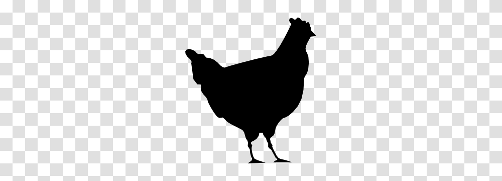 Chicken Sticker, Poultry, Fowl, Bird, Animal Transparent Png