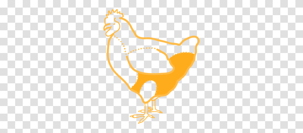 Chicken Thighs Transavia, Bird, Animal, Poultry, Fowl Transparent Png