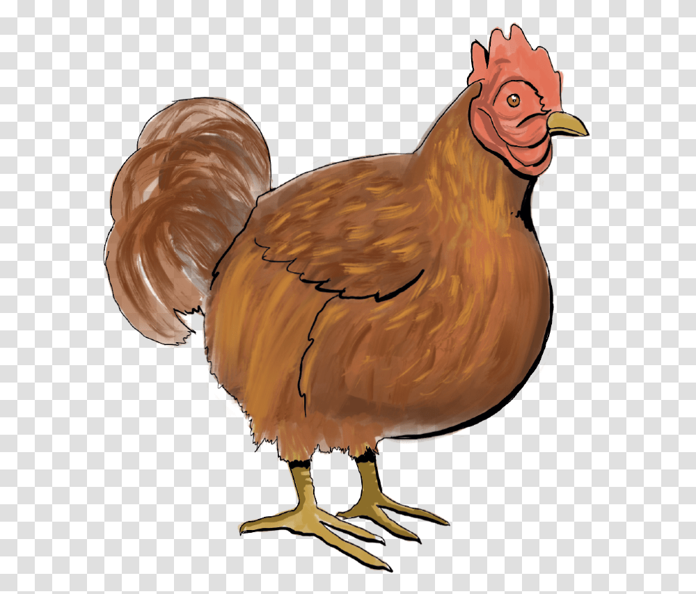 Chicken Turkey, Bird, Animal, Hen, Poultry Transparent Png