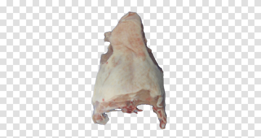 Chicken Upper Back, Bird, Animal, Conch, Seashell Transparent Png