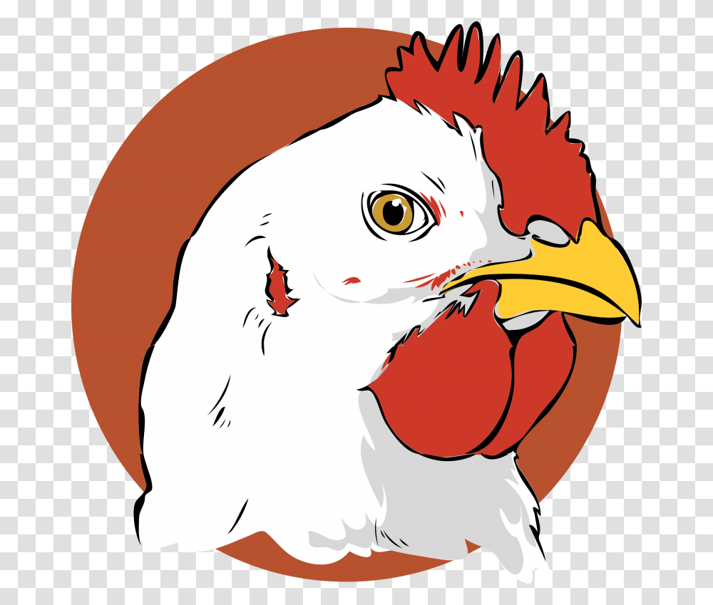 Chicken Vector Broiler Chicken Clipart, Animal, Poultry, Fowl, Bird Transparent Png