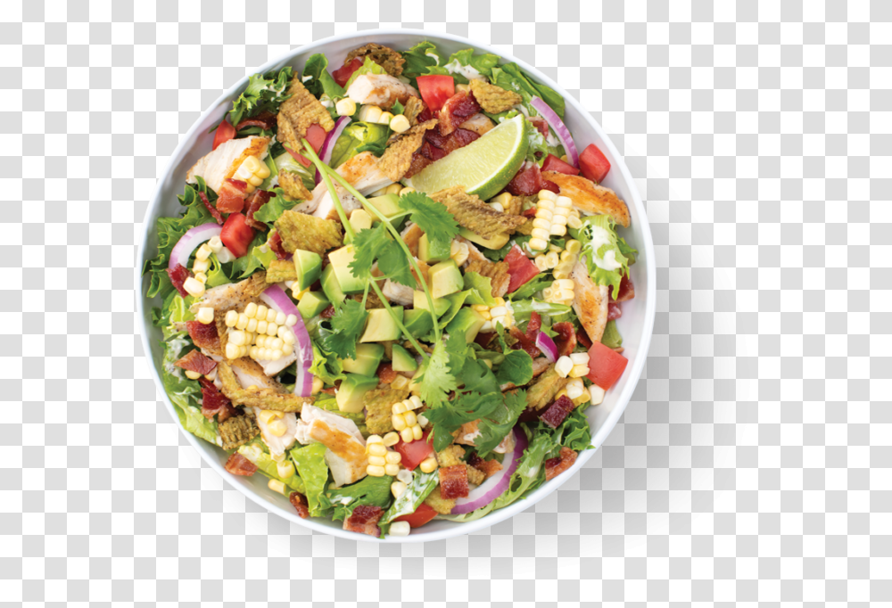 Chicken Veracruz Salad Bowl, Plant, Dish, Meal, Food Transparent Png