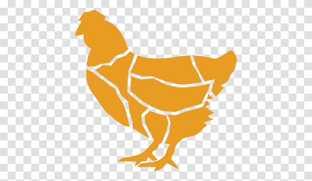 Chicken Whole Chicken Breast Clipart, Animal, Fowl, Bird, Poultry Transparent Png