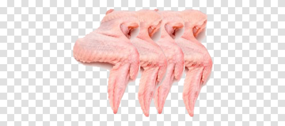 Chicken Wings 4 Chicken Wings With Skin, Animal, Plant, Invertebrate, Sea Life Transparent Png