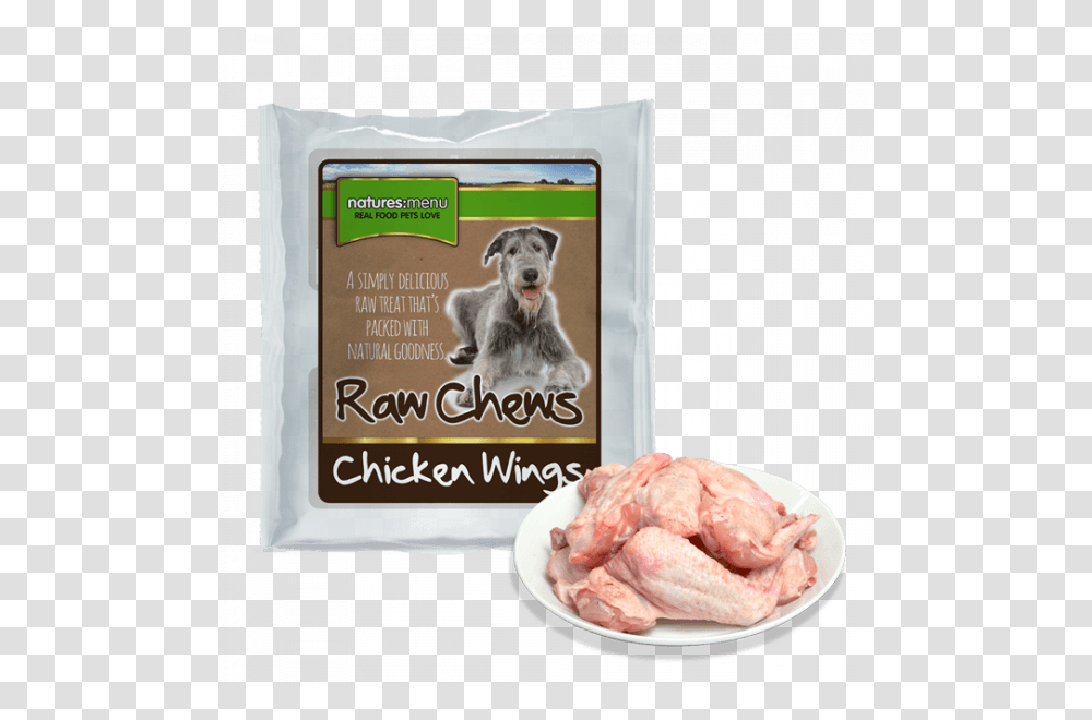 Chicken Wings, Dog, Pet, Canine, Animal Transparent Png