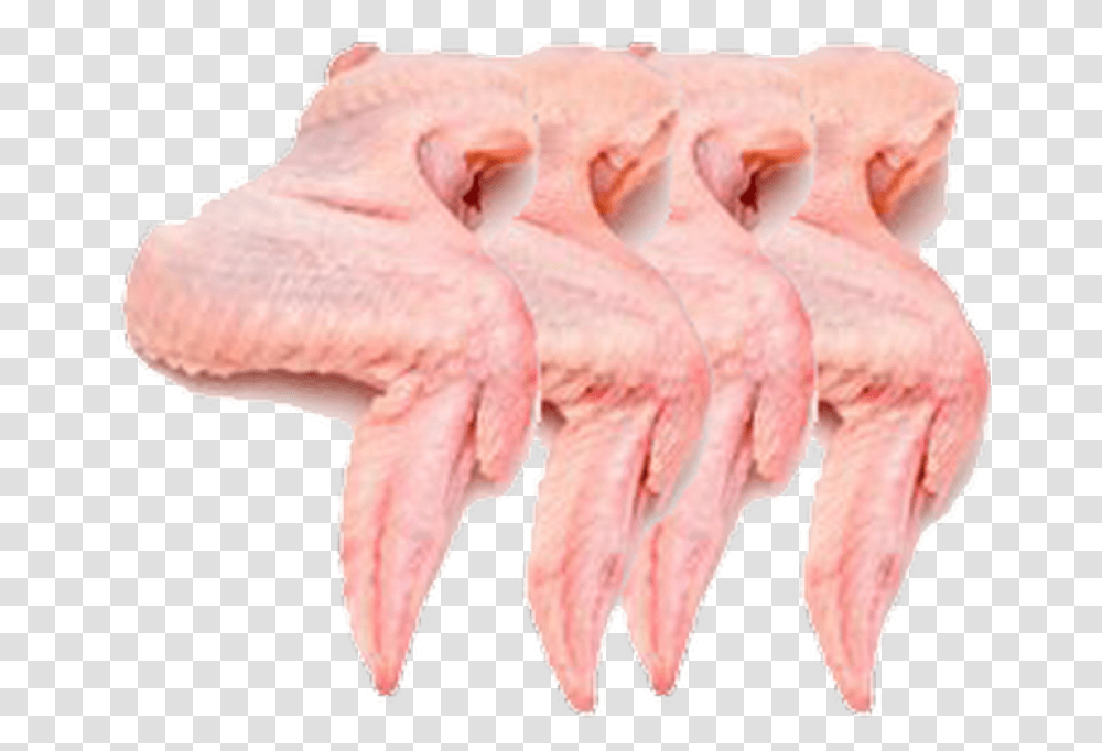 Chicken Wings Meat, Animal, Invertebrate, Sea Life, Fungus Transparent Png