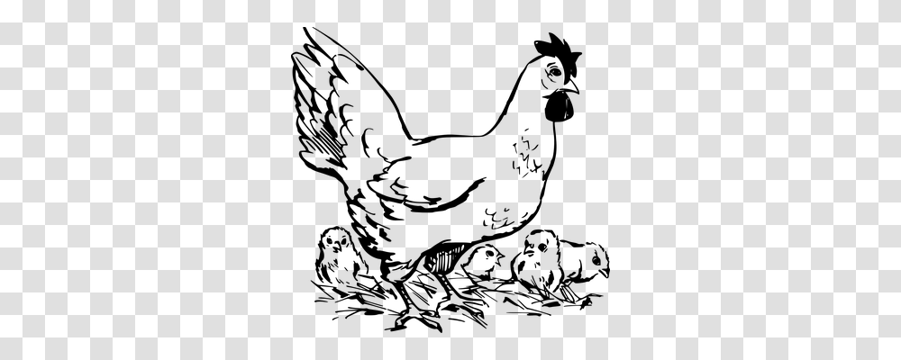 Chickens Nature, Gray, World Of Warcraft Transparent Png