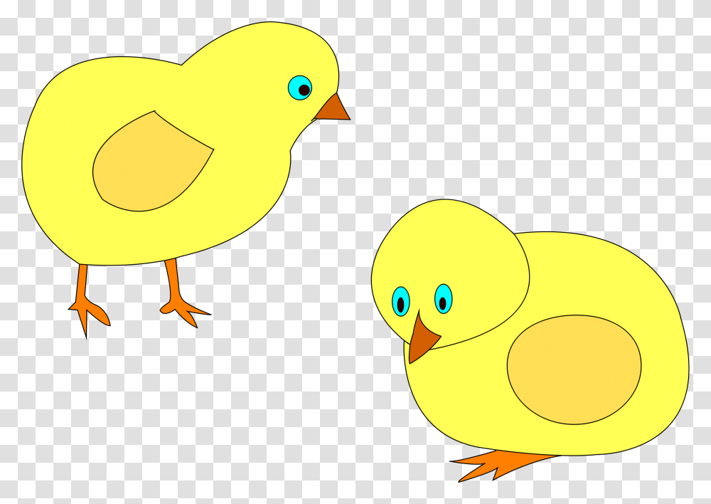 Chickens Figure Color Clip Arts, Bird, Animal, Tennis Ball, Sport Transparent Png