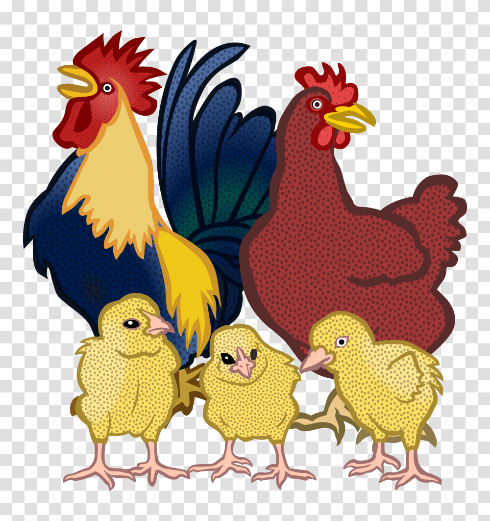 Chickens, Poultry, Fowl, Bird, Animal Transparent Png