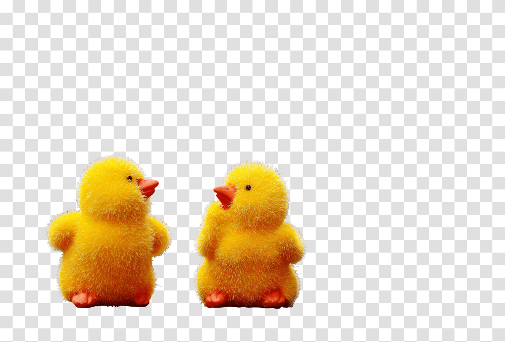 Chicks Clip, Holiday Transparent Png