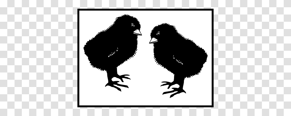 Chicks Silhouette, Bird, Animal, Stencil Transparent Png