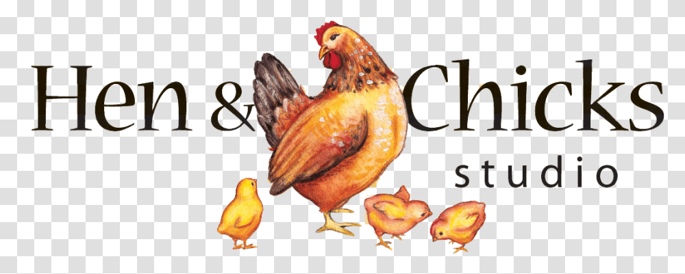 Chicks, Animal, Bird, Poultry, Fowl Transparent Png
