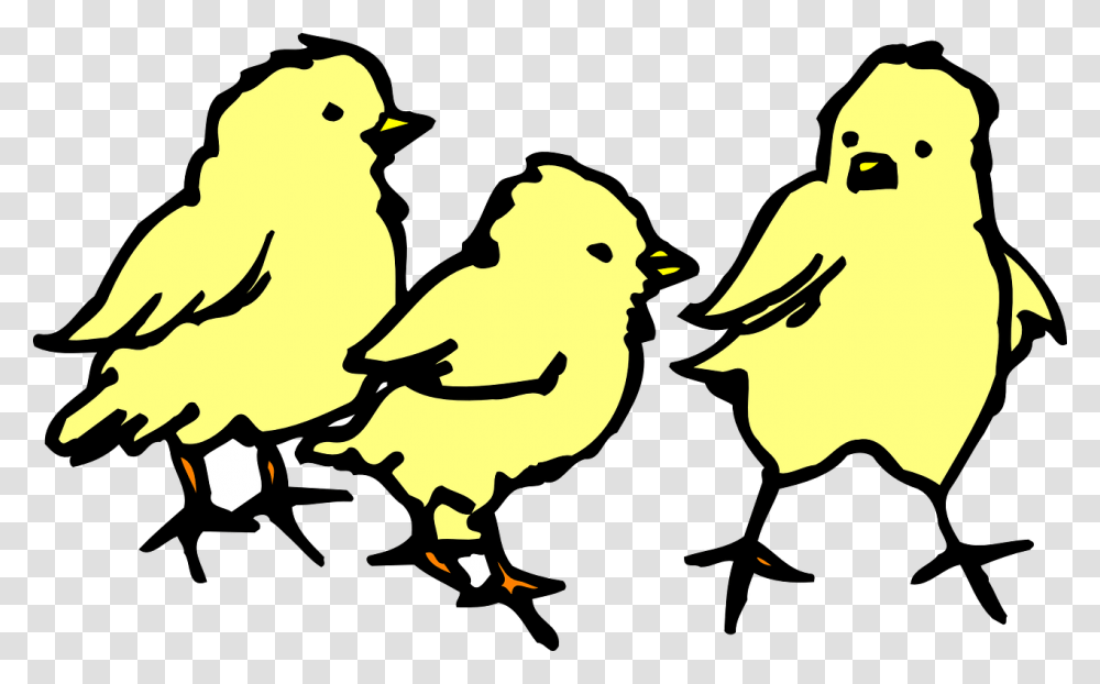 Chicks Clipart Black And White, Bird, Animal, Silhouette, Poultry Transparent Png