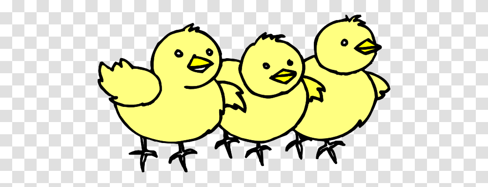 Chicks In A Line Clip Art, Poultry, Fowl, Bird, Animal Transparent Png