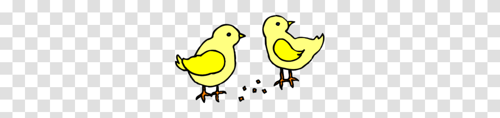 Chicks With Feed Clip Art, Canary, Bird, Animal, Finch Transparent Png