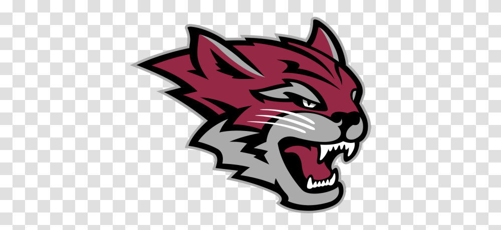 Chico State Wildcats Logo Clever Crafts, Dragon, Label Transparent Png