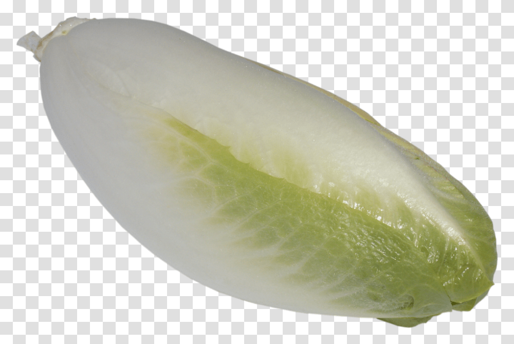 Chicory 960, Vegetable, Plant, Melon, Fruit Transparent Png
