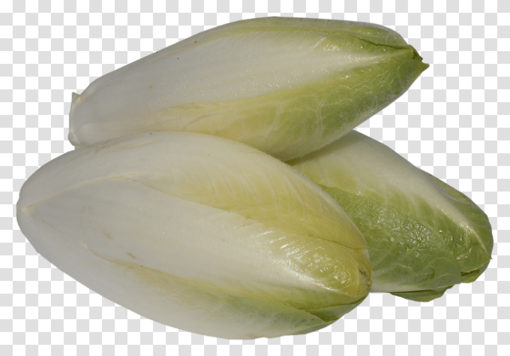 Chicory 960, Vegetable, Plant, Sliced, Food Transparent Png