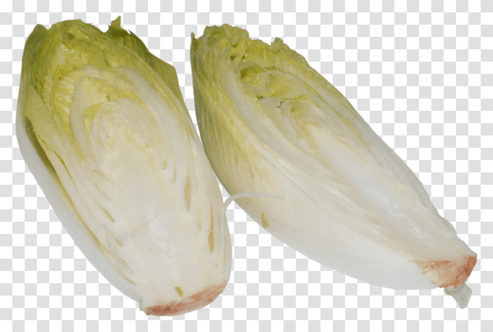 Chicory 960, Vegetable, Plant, Food, Cabbage Transparent Png