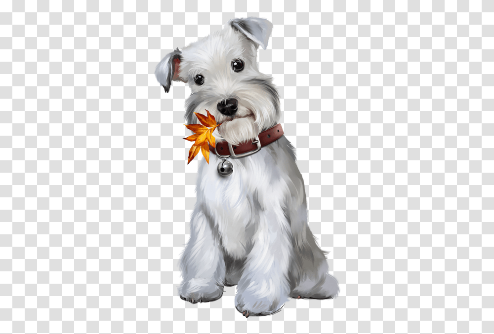 Chiens Puppies Wallpapers Clip, Dog, Pet, Canine, Animal Transparent Png