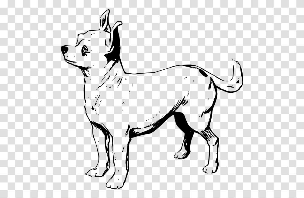 Chihuahua Clipart For Web, Gray, World Of Warcraft Transparent Png