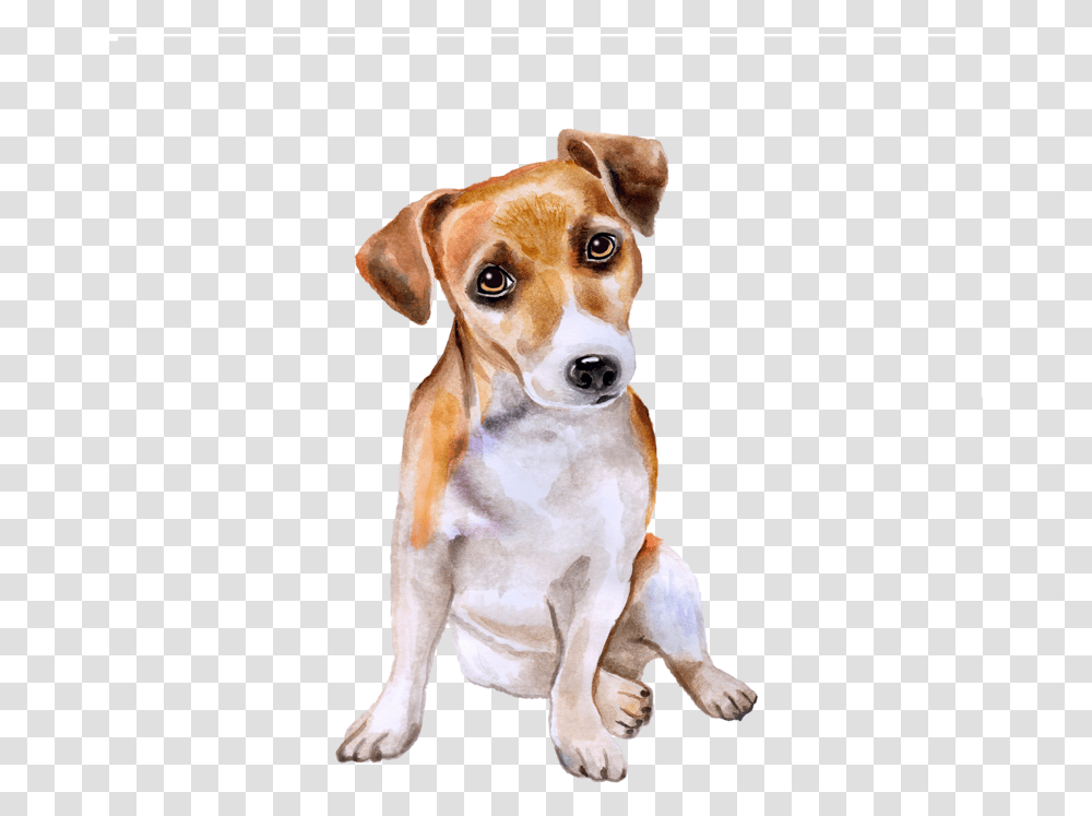 Chihuahua Clipart, Hound, Dog, Pet, Canine Transparent Png