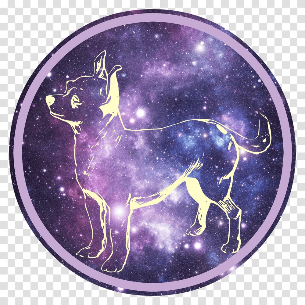 Chihuahua, Crystal, Sphere, Painting Transparent Png