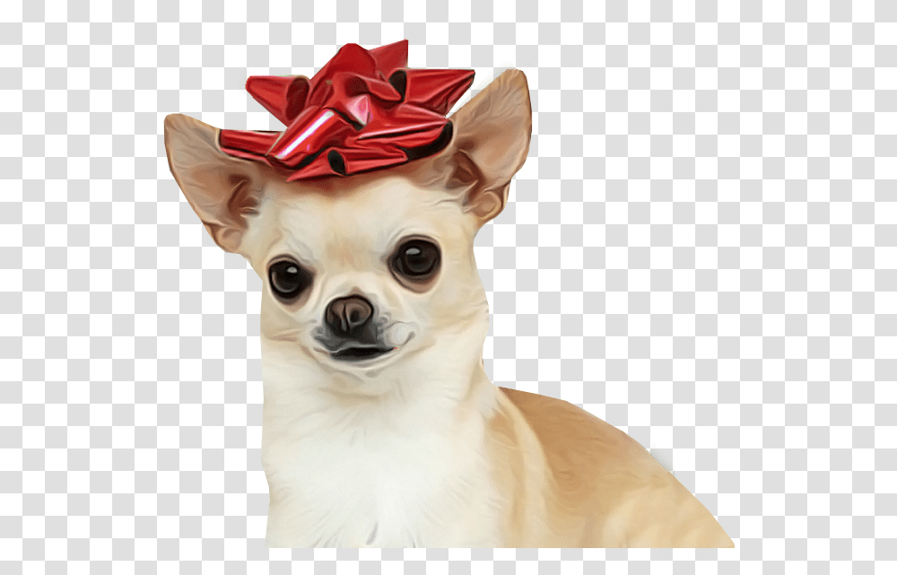 Chihuahua Dog For Sale Background Chihuahua, Person, Human, Canine, Mammal Transparent Png
