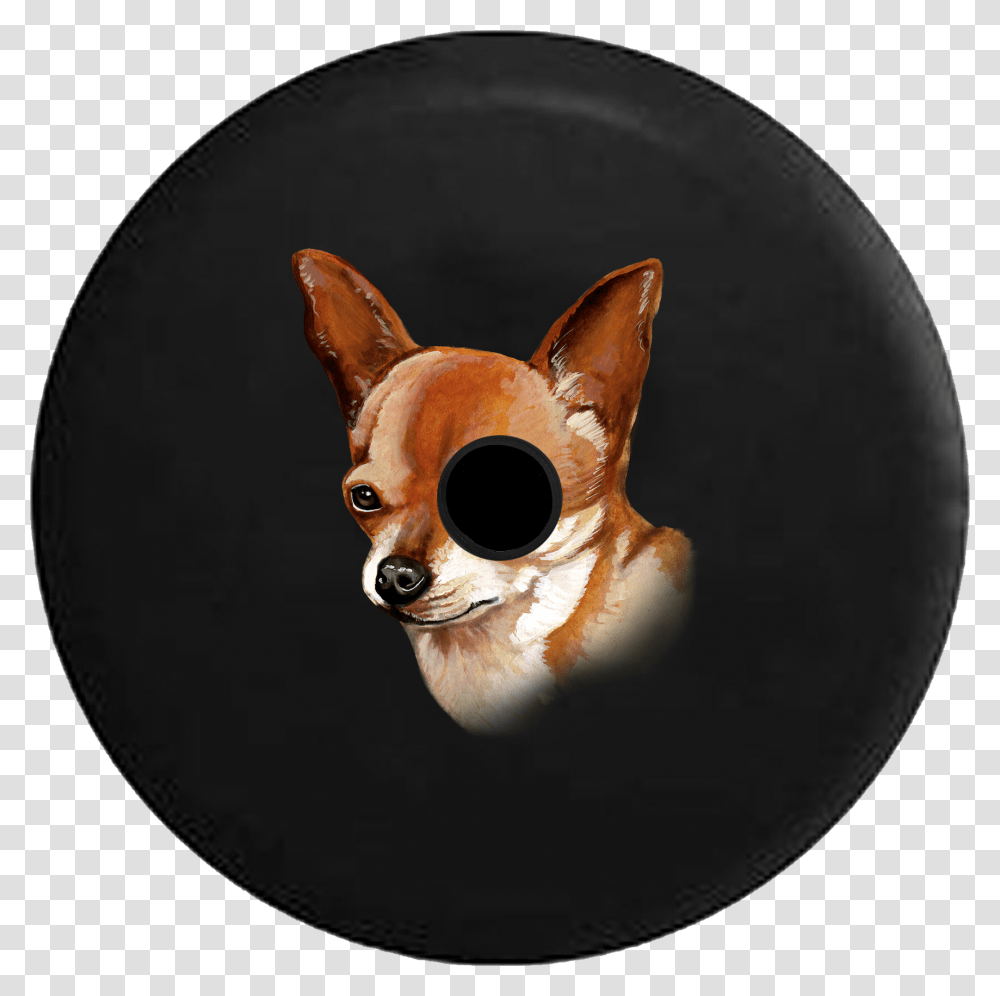 Chihuahua, Figurine, Toy, Photography, Head Transparent Png