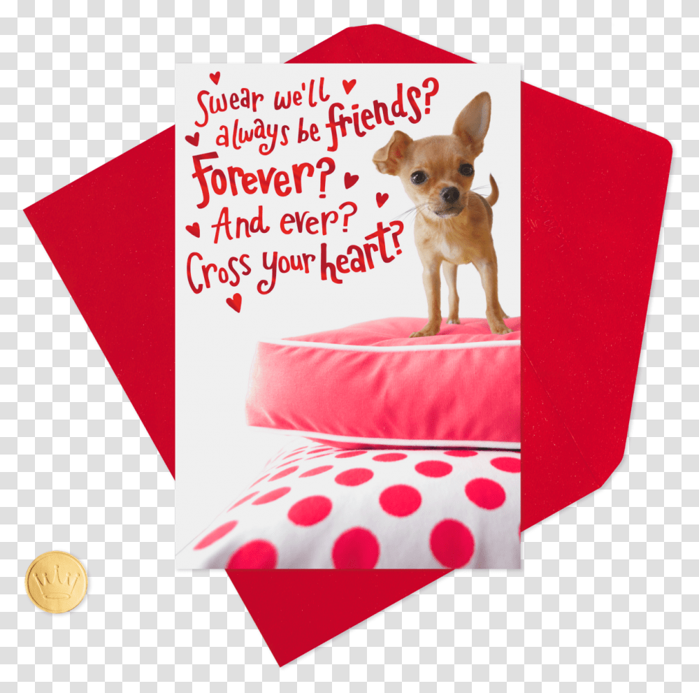 Chihuahua For My Forever Friend Valentine's Day, Dog, Pet, Canine, Animal Transparent Png