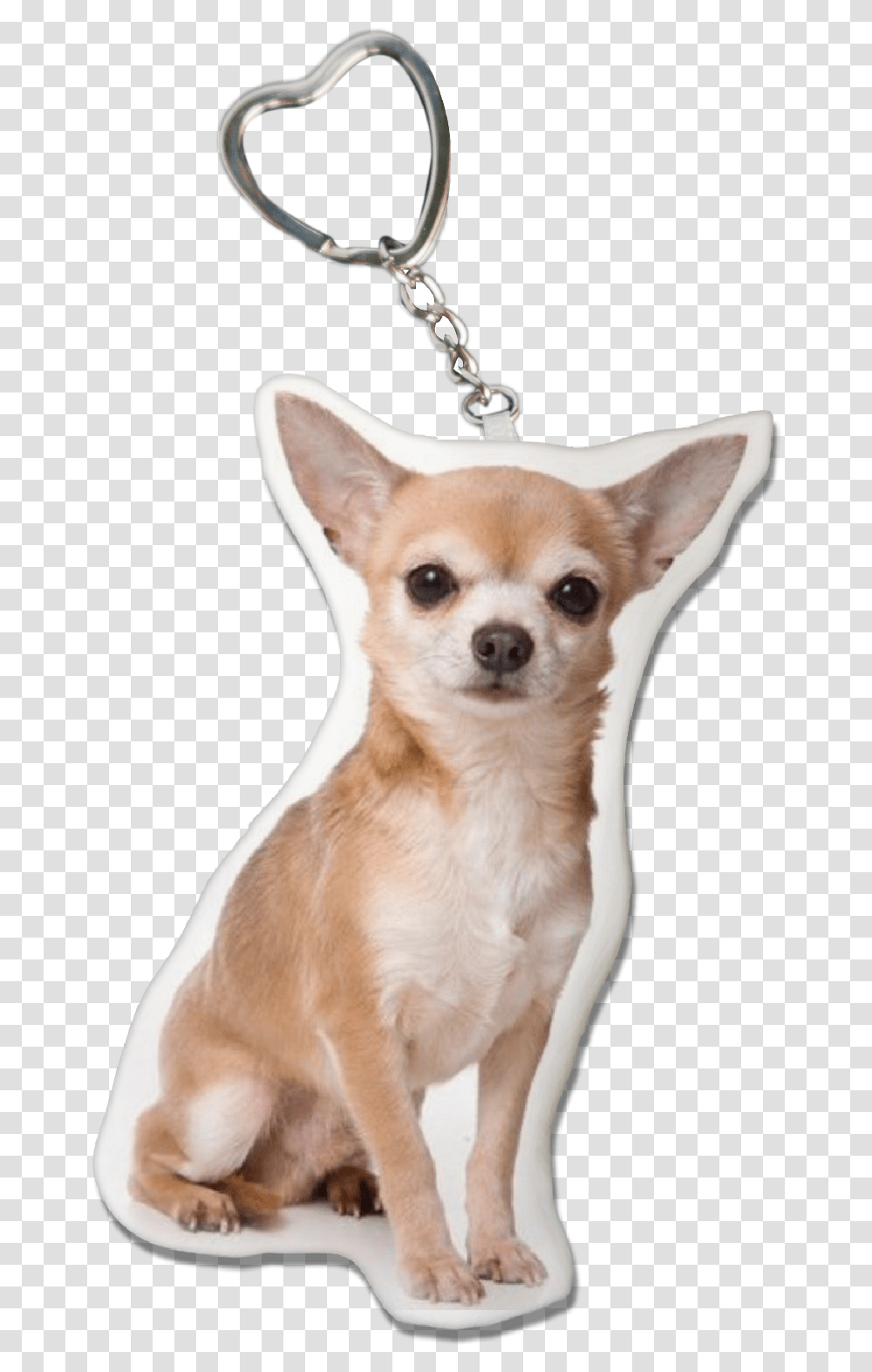 Chihuahua Key Chain Chihuahua Collectibles, Dog, Pet, Canine, Animal Transparent Png