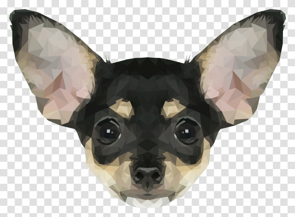 Chihuahua, Mammal, Animal, Dog, Pet Transparent Png