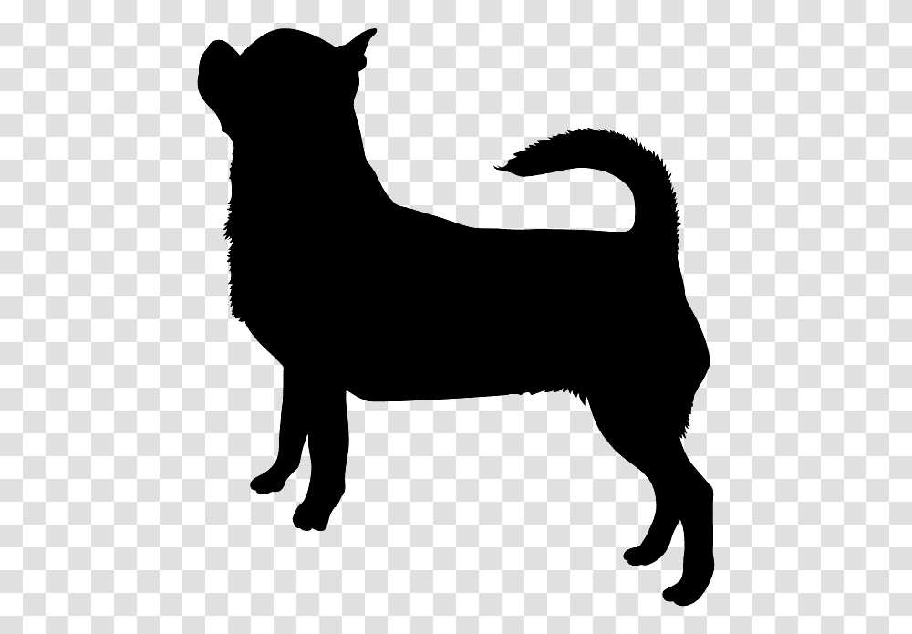 Chihuahua Silhouette, Gray, World Of Warcraft Transparent Png