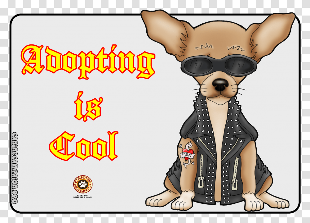 Chihuahua, Sunglasses, Label, Person Transparent Png