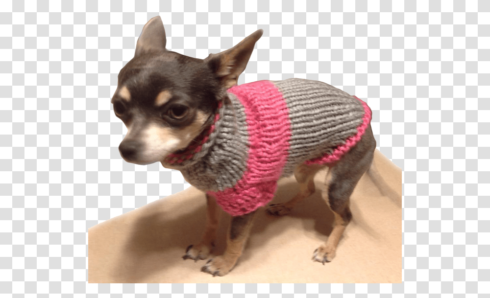 Chihuahua Sweater Pattern By Onnica Hutchings Chihuahua Sweater, Dog, Pet, Canine, Animal Transparent Png
