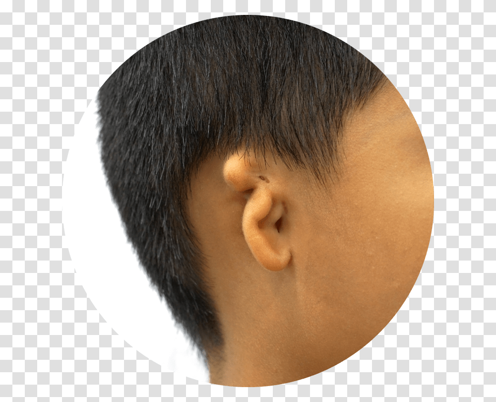 Child, Face, Person, Human, Hair Transparent Png