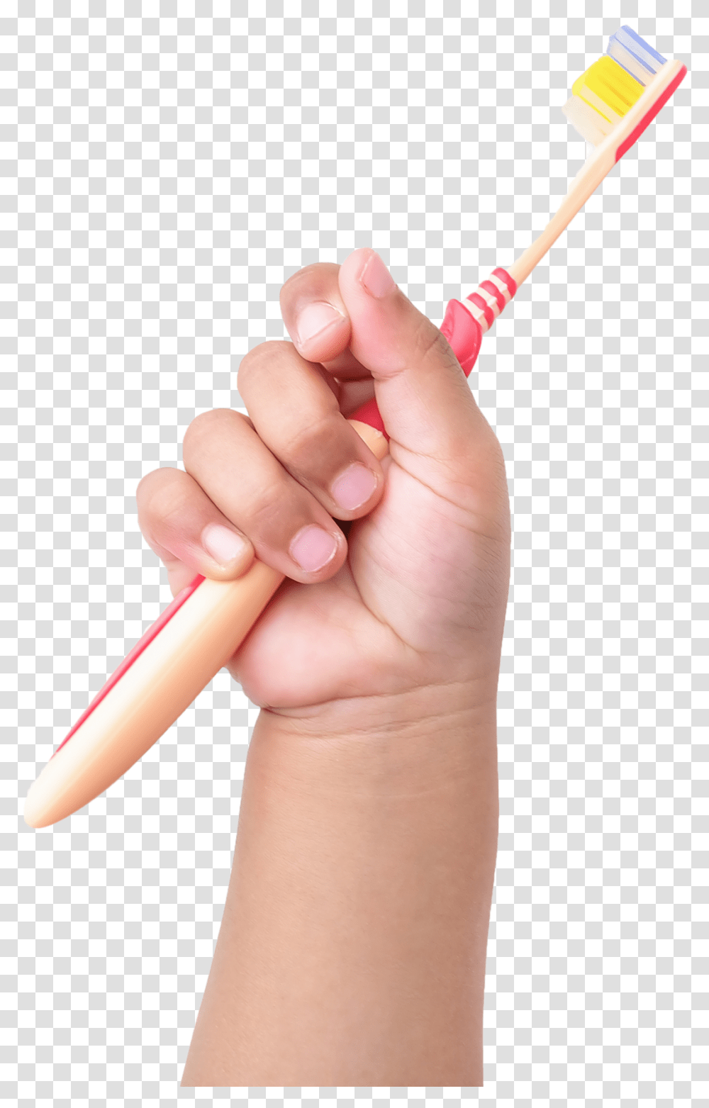 Child Hand Holding Toothbrush, Person, Human, Tool, Finger Transparent Png