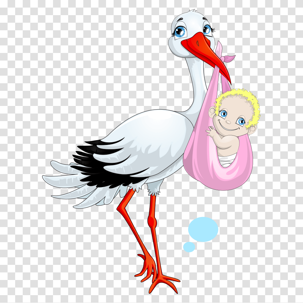 Child Stock Illustration Clip Art, Bird, Animal, Waterfowl, Crane Bird Transparent Png