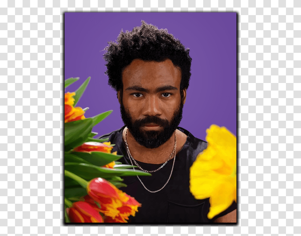 Childish Gambino Portrait, Person, Human, Face, Performer Transparent Png