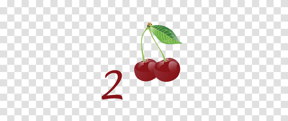 Children Learning Images Vectors And Free, Plant, Fruit, Food, Cherry Transparent Png