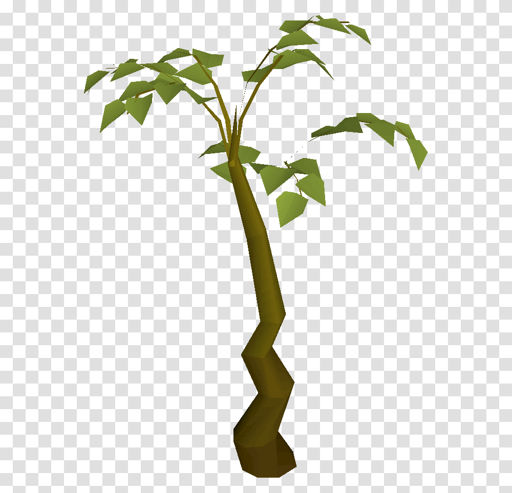 Children Planting Clipart Tall Plant Clipart, Tree, Leaf, Bamboo, Flower Transparent Png